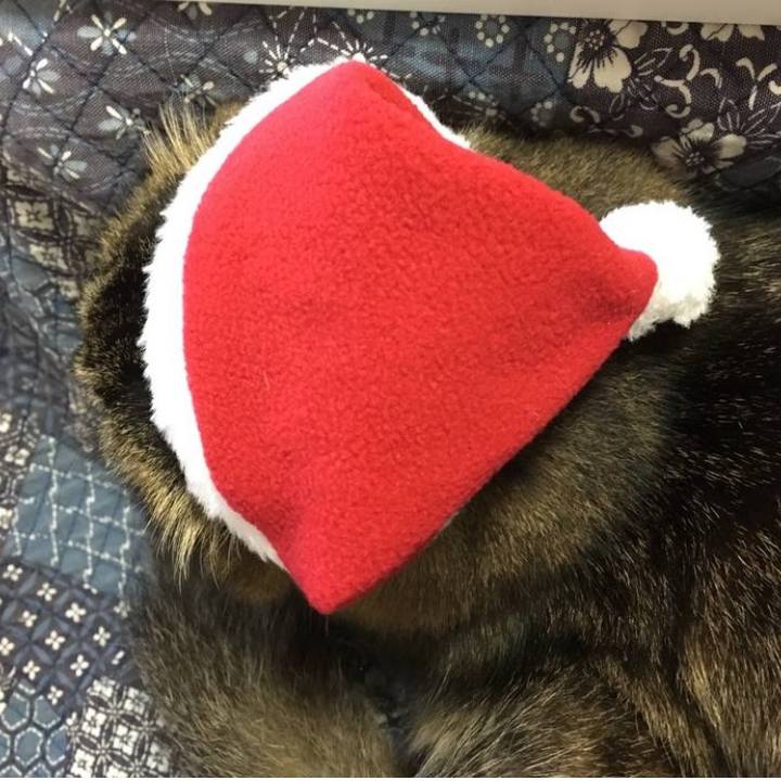 3a85a903 0f52 4cf1 9453 ba65268f791d 1766618542578