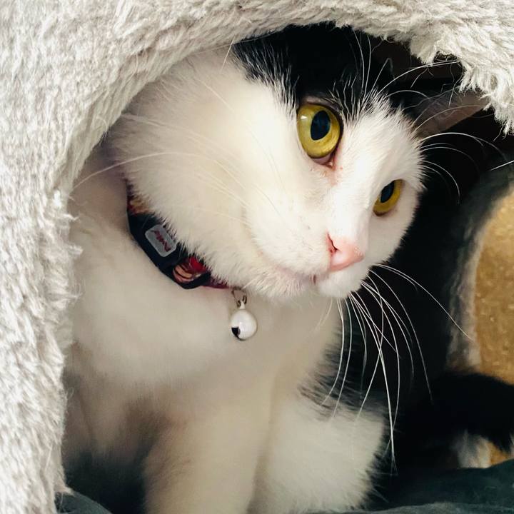 3a85b8ac 8e31 4d37 8a6a 83d908c6a05f 1669329494338