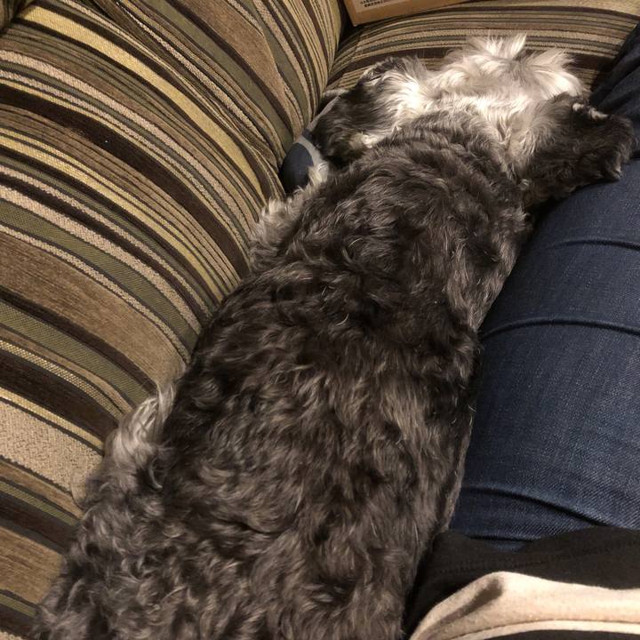 3a85f099 2bfb 4230 8226 138cafc7a8fd 1562847162089