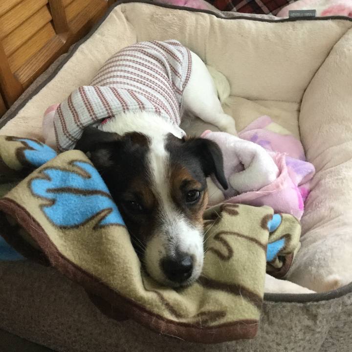 3a85f254 d3ef 4d14 a588 8f55ec4282b4 1511667799153