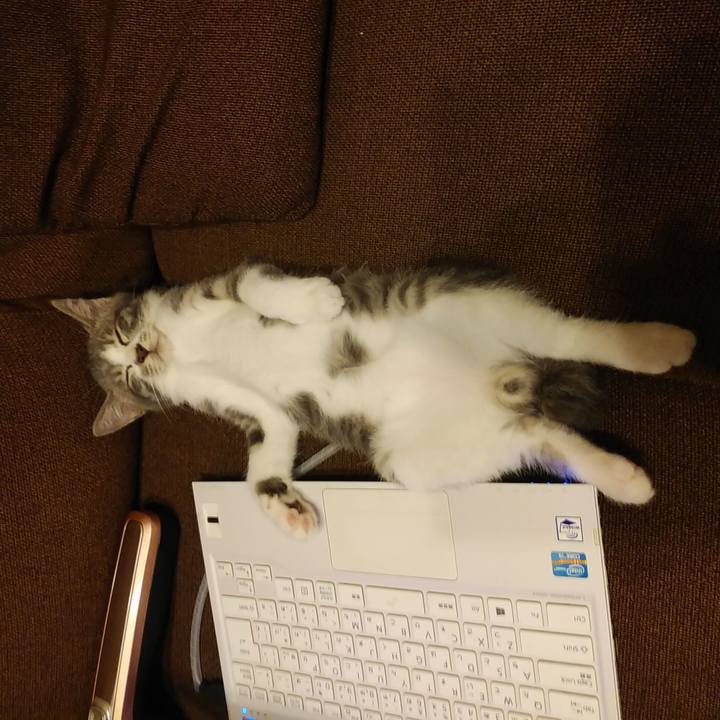 3a8600fb 6d96 4741 8320 d78622b69cff 1564052127943