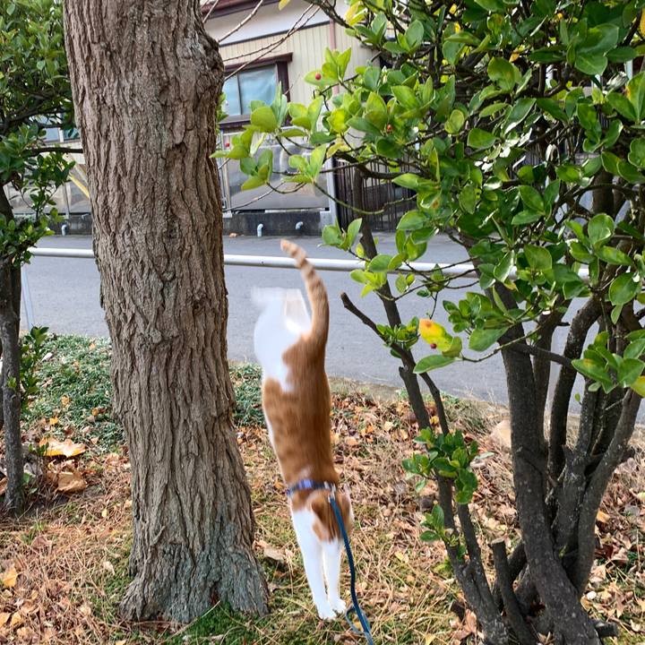 3a86295f 77bc 4831 8d7e 6fc337978e82 1575170374019