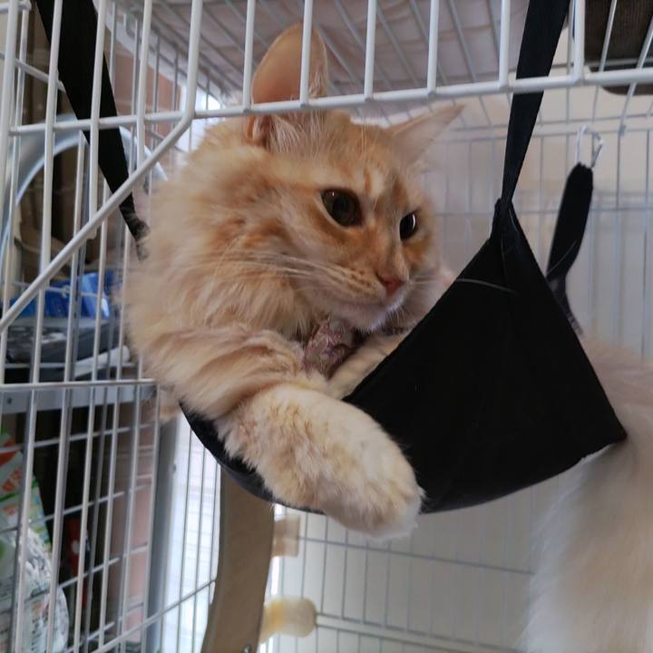 3a866121 bca4 43a7 8ebc ad97513a898e 1663822236729