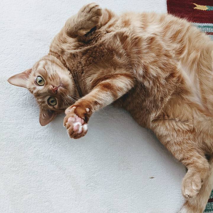 3a8687e8 9060 4cb6 bba4 e23791e2e762 1650527398797