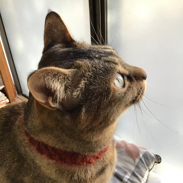 3a869d44 0ba0 43cf 8869 2900424a3f97 1642202663920