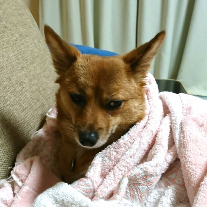 3a86a3f7 ad29 426c 8fb9 0cac9276ca97 1513512934737