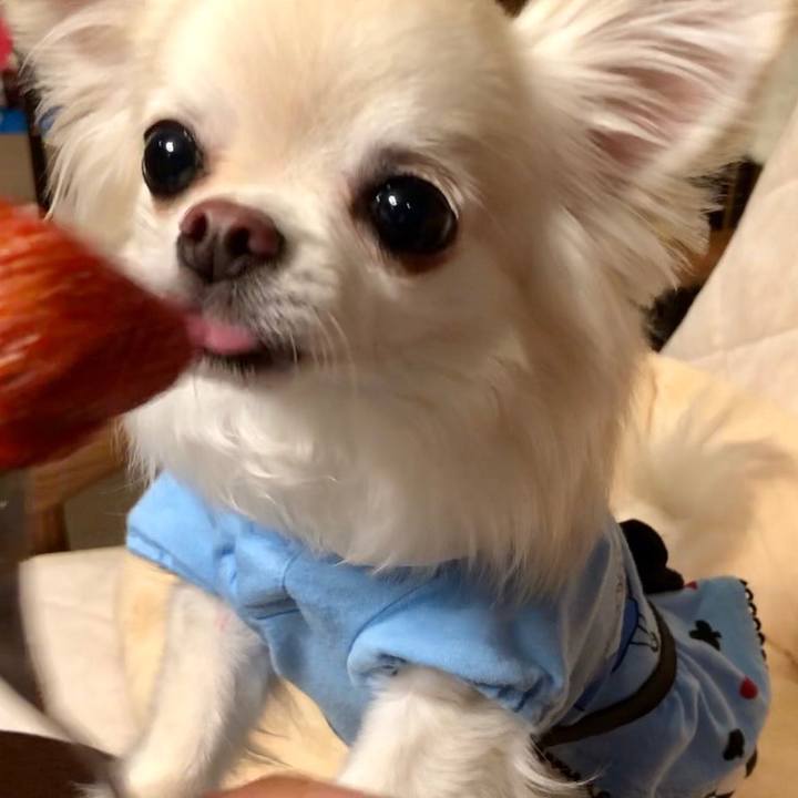 3a86bd60 d2c1 4867 a26f a1754d50cfad 1520905291606