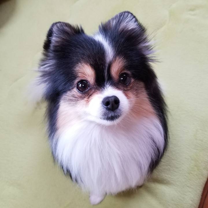 3a86c751 3025 4a26 a0b4 16321e4c893b 1523662975497