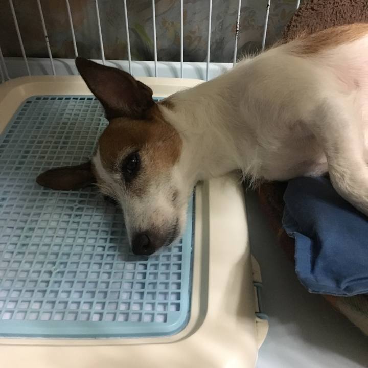 3a86ce83 4c36 42be a5b9 90cb6a31ab0b 1568848367636