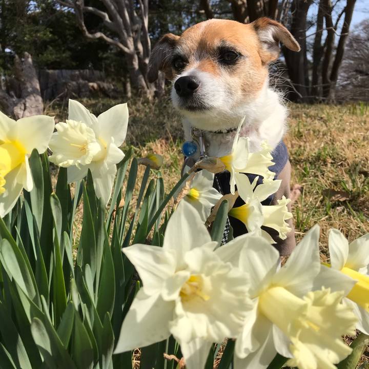 3a86ec64 778c 4caa 897b bb4de48f7337 1553499140484