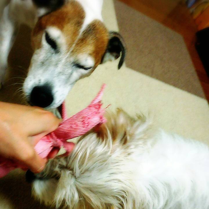 3a872ef1 4541 4cdc a740 de00a38db639 1507984867227