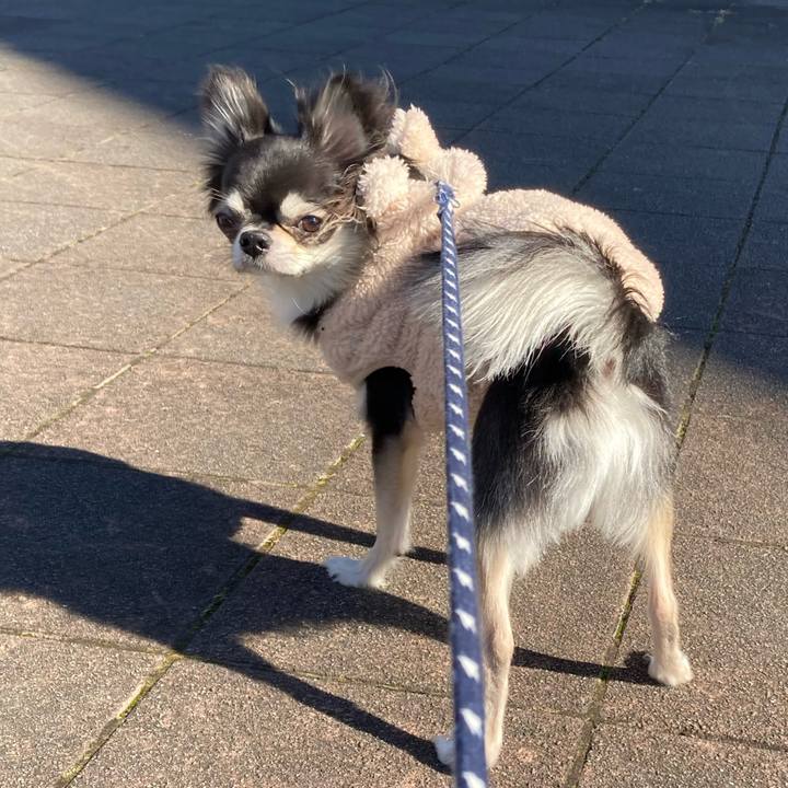 3a875227 c075 4902 a632 d398d95afb9f 1641703626509