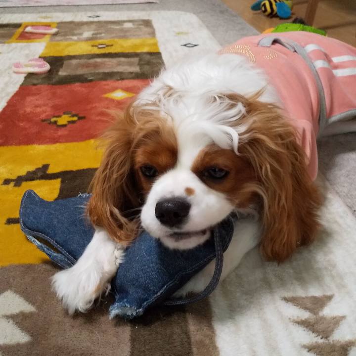 3a876eb6 3c37 4a78 8721 bcbacc28f5bf 1581824605018