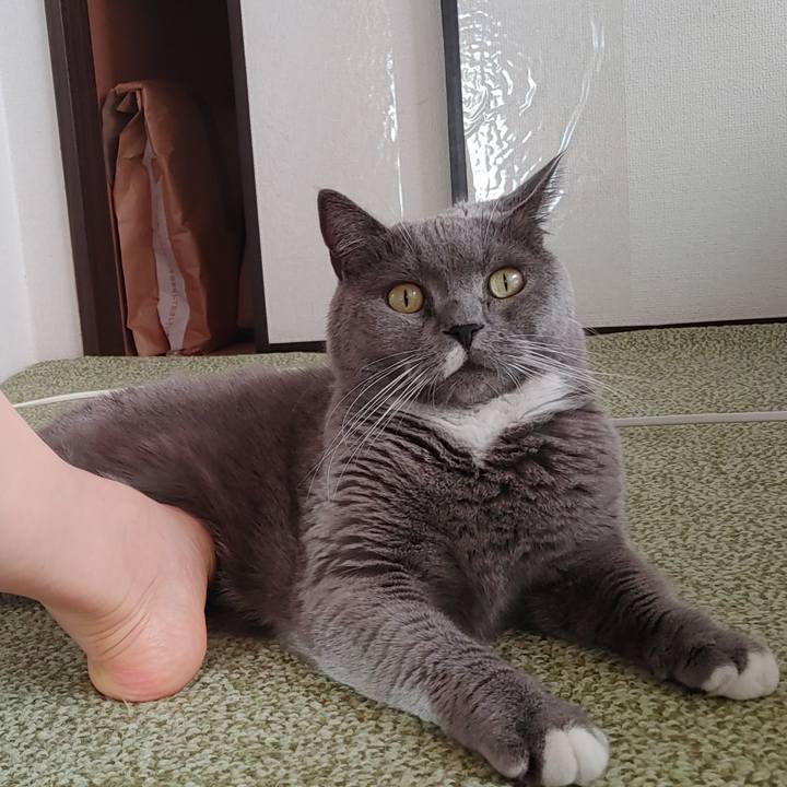 3a877407 d47a 4400 9d15 bb42582295f8 1699056353127