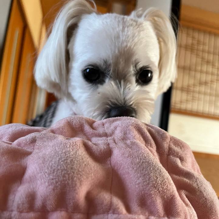 3a879b9c d5e3 4cf3 9277 168a082cac7d 1688278858887