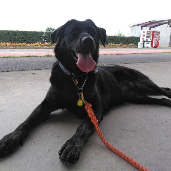 3a87c672 3172 4f47 9ace 9b7c8ffdd16c 1567297962637