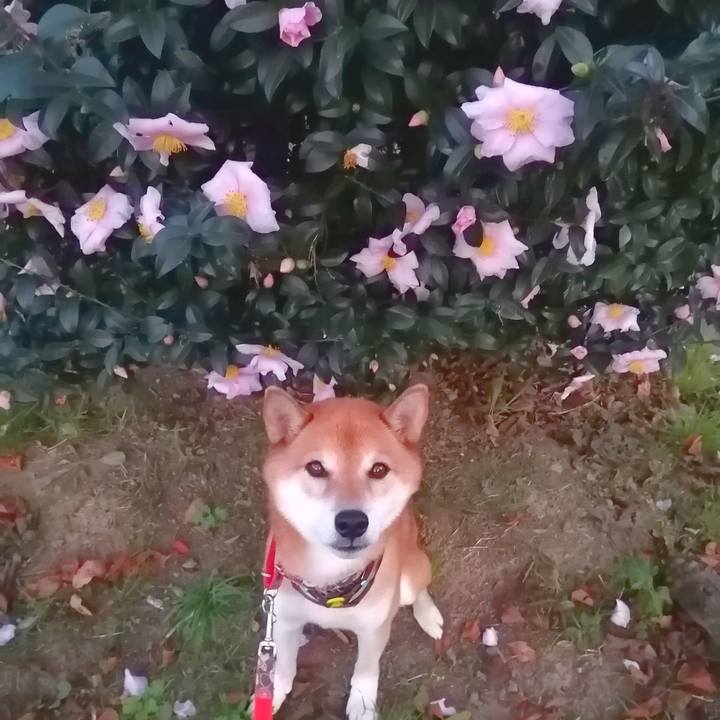 3a87ce33 7c9c 428b 80f7 6b53cecf3273 1668158636353