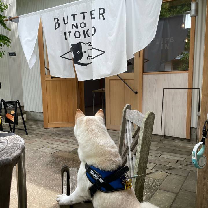 3a87f2a1 34e0 471e a39f e00538bf4e64 1652520265639