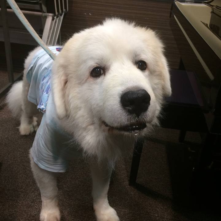 3a8840d7 d73b 4065 9e6c 7816440bf7c7 1570112462230