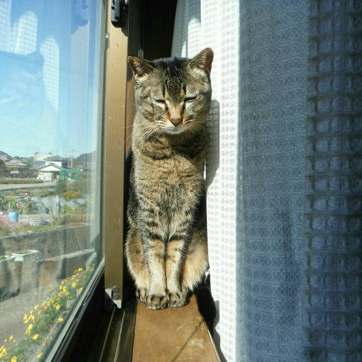 3a887b80 c79d 4047 b3b5 86187002b3ad 1543563493323