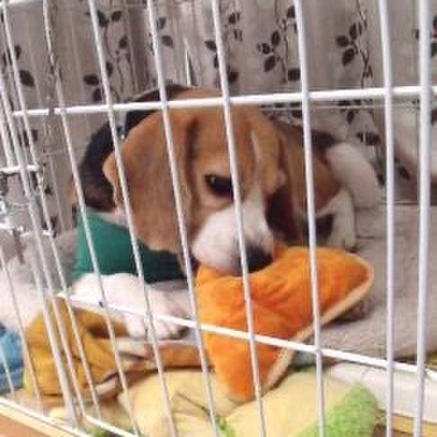 3a888928 123b 48ca a42b 9a73775cbefd 1729900733213