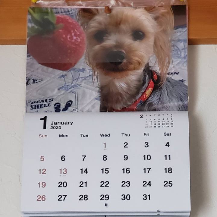 3a8899cc efcb 4ed9 81de d910d50ed94e 1577947740467