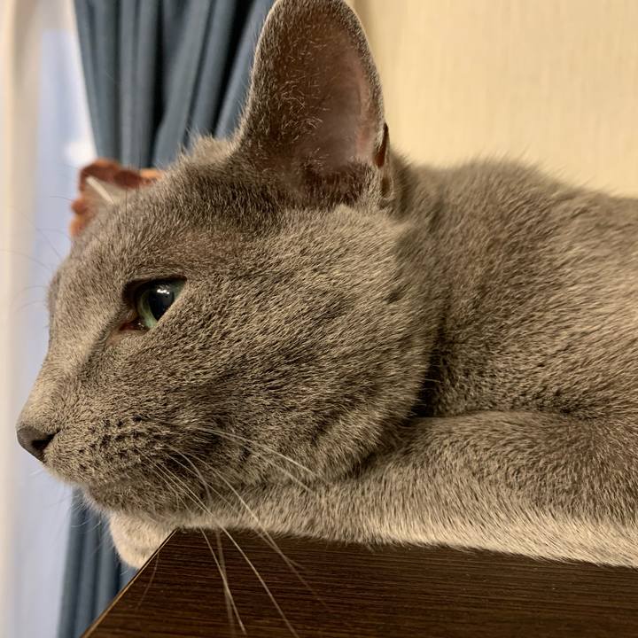 3a88a625 4859 4bbc a070 ab1e7464e017 1586292284687