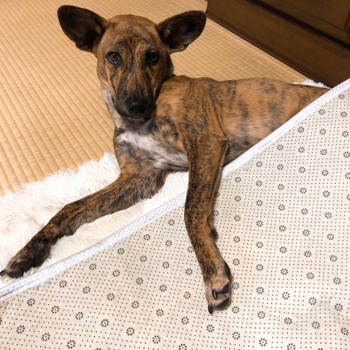 3a88b4b9 ea3a 4d04 8535 8086bc644074 1577686874374