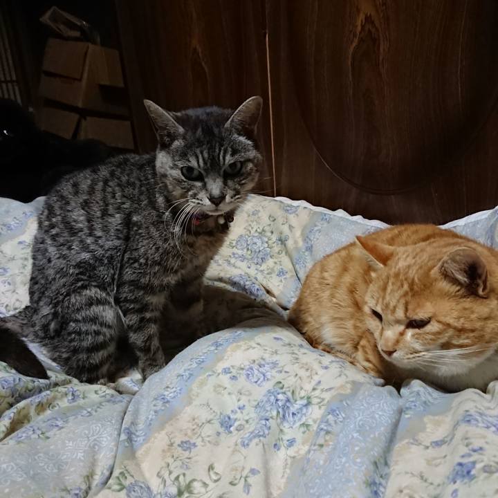 3a88cb7f 2499 469b 96db a80e8a6a3545 1583496434228