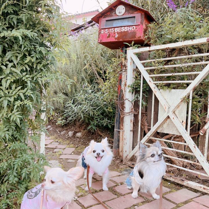 3a88d7f6 3281 4a74 95ef 8d2a160c4f56 1666773953731