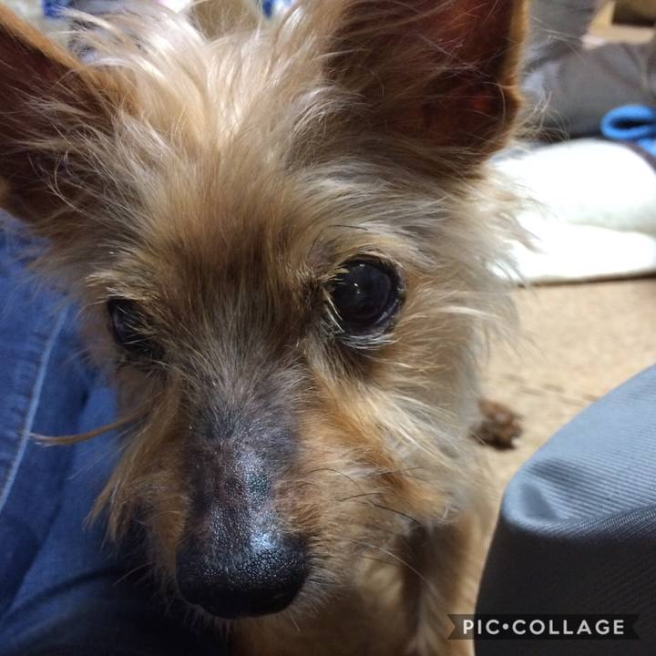 3a88feb3 34ce 47e7 ba5b 6720d53ebd9f 1554990621415