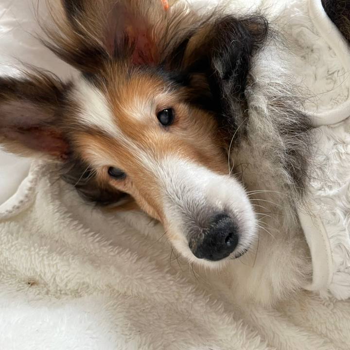 3a895016 9dfe 4ff7 b885 c5926d2837e5 1647072479634