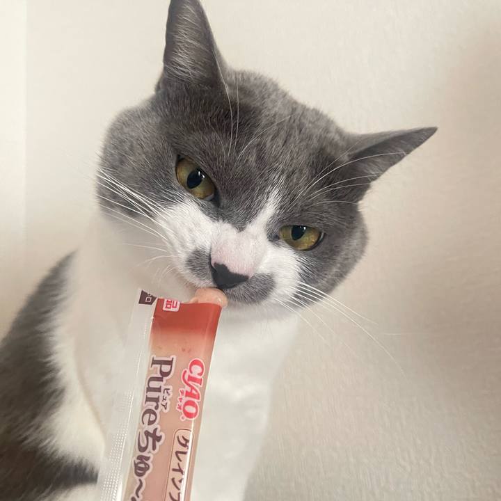 3a896c54 32d2 4dea b358 2e48e7a45d2d 1673507105047