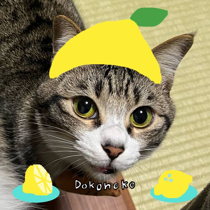 3a89752f aeb1 4687 8928 017c08514022 1741058980552