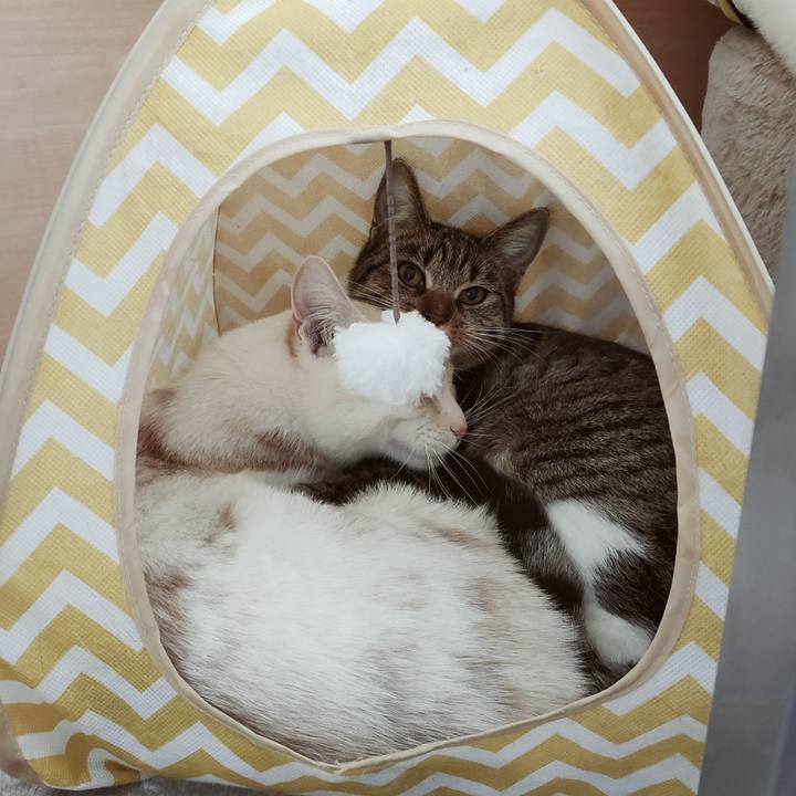 3a897c50 e3a2 45dd a24a 2873b7af311d 1645505463701