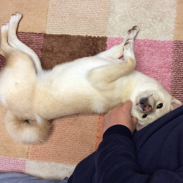 3a897dd7 10b5 433f b756 aa1d1bb7a4d2 1516408233949