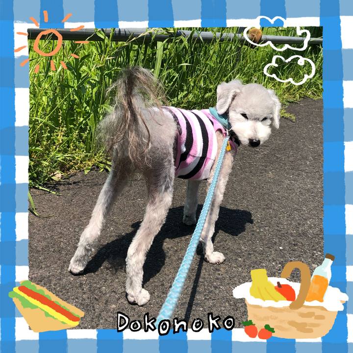 3a898279 9e82 4dd7 8601 02cf33179baf 1744647265898