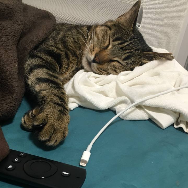 3a89b4d7 0cf2 441c ad92 ca912bc1a44d 1559549104267