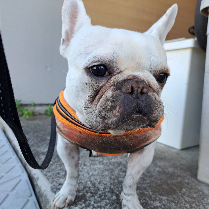 3a8a50e4 9336 453a 9d91 c3ce7f1832bb 1701506846143