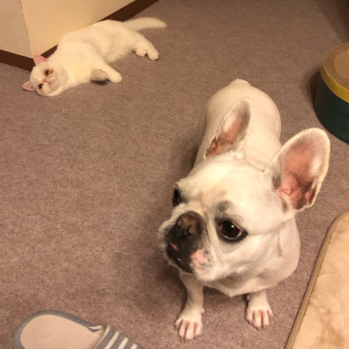 3a8a5f24 d7b3 4b80 9a02 c6e80e74a67b 1557755840629