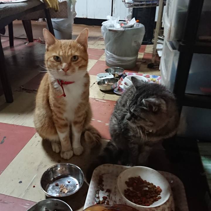 3a8a6e4b 3ac2 409e a4f5 ff4b8e66fefb 1570315571556