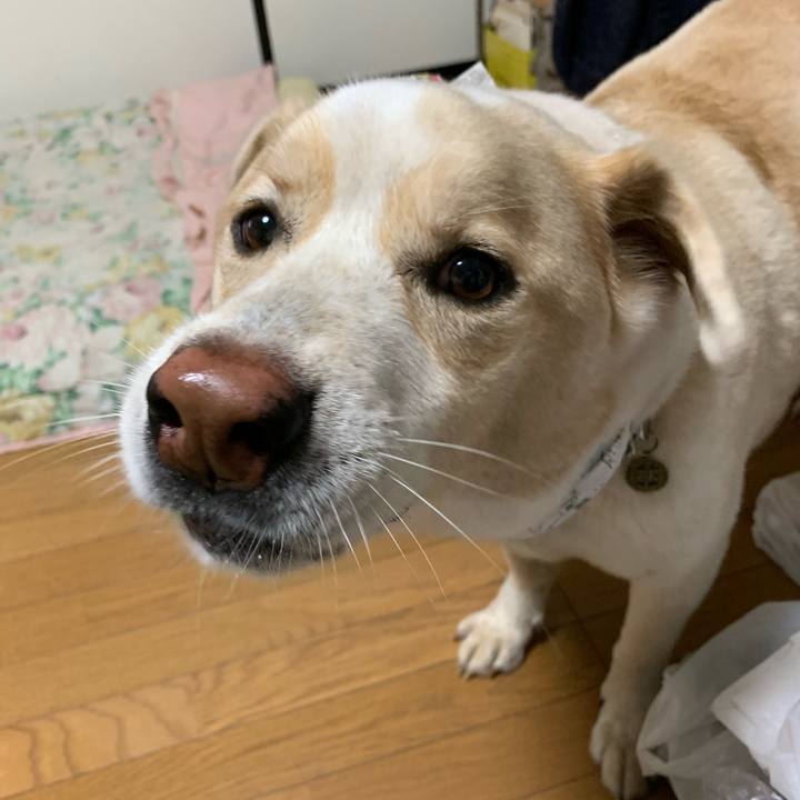 3a8a7f48 8306 49b7 977e 22e574b30e10 1567866808895