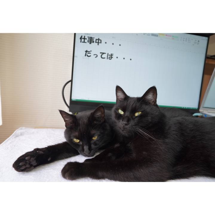 3a8aeaef beac 4eed 805b da466bfef4b6 1602165166230