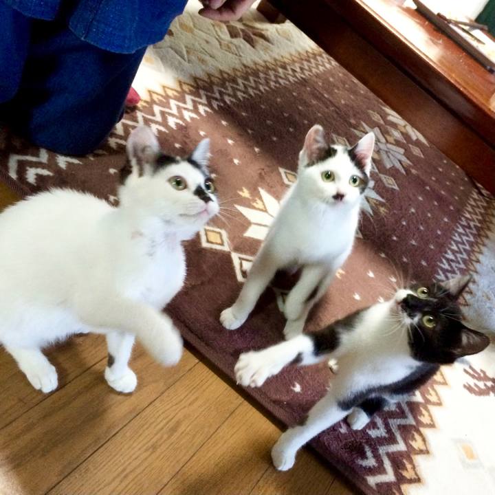 3a8af772 fe5c 49bc a9af 3a337918f13a 1629584196734