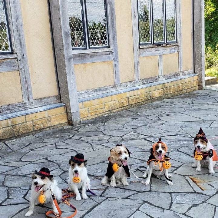 3a8b0a85 3ebd 4f40 bb2c 98bb1165670d 1601872074849