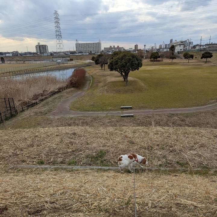 3a8b4412 1463 4e91 b5ce 31845d693620 1643880903842