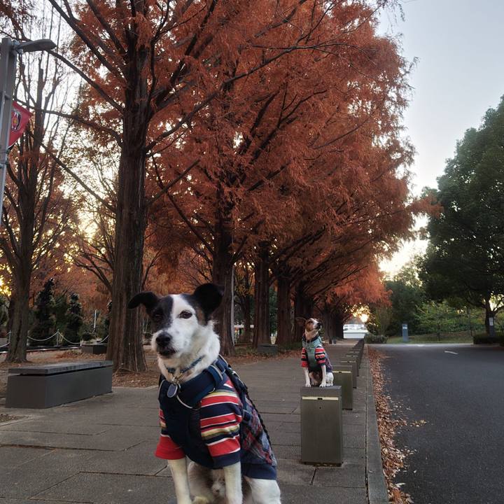 3a8b6184 4dee 4545 9aa9 eb2da8ca35b3 1764502115008