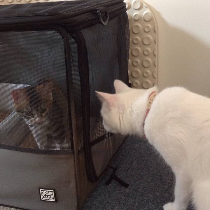 3a8b68b3 4c4a 4ba5 8df1 07caacb07ae9 1628146648813