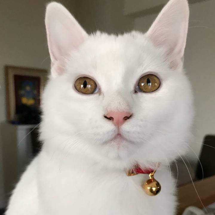 3a8b7ade d215 44a1 85ef 64c4033c907a 1511404698470