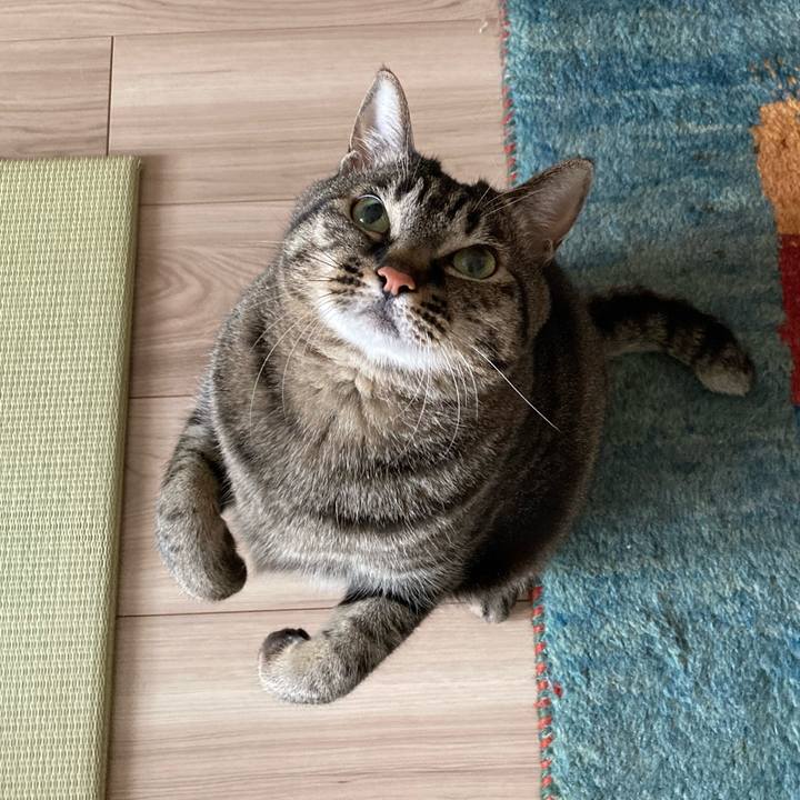 3a8bb6f5 810f 4610 8585 ac3a24bd1617 1647129358481